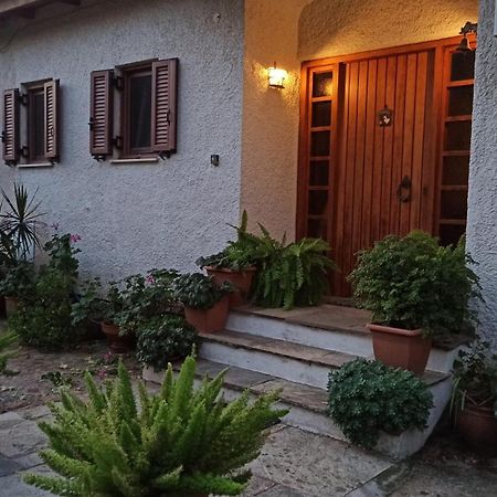 Nafpaktos Cottage By The Sea For Travelers And Dreamers! エクステリア 写真