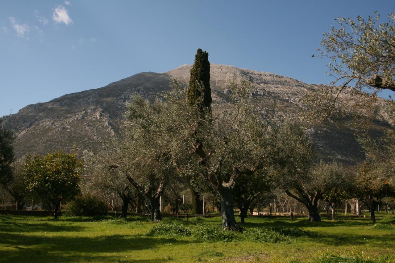 Nafpaktos Cottage By The Sea For Travelers And Dreamers! エクステリア 写真