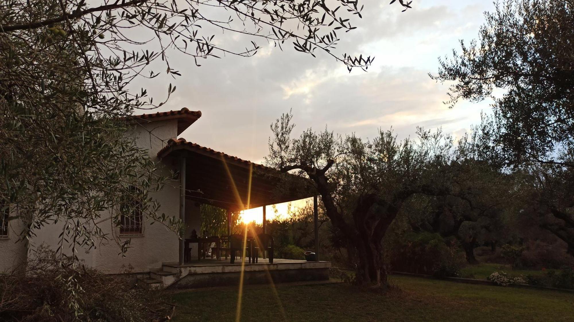 Nafpaktos Cottage By The Sea For Travelers And Dreamers! エクステリア 写真