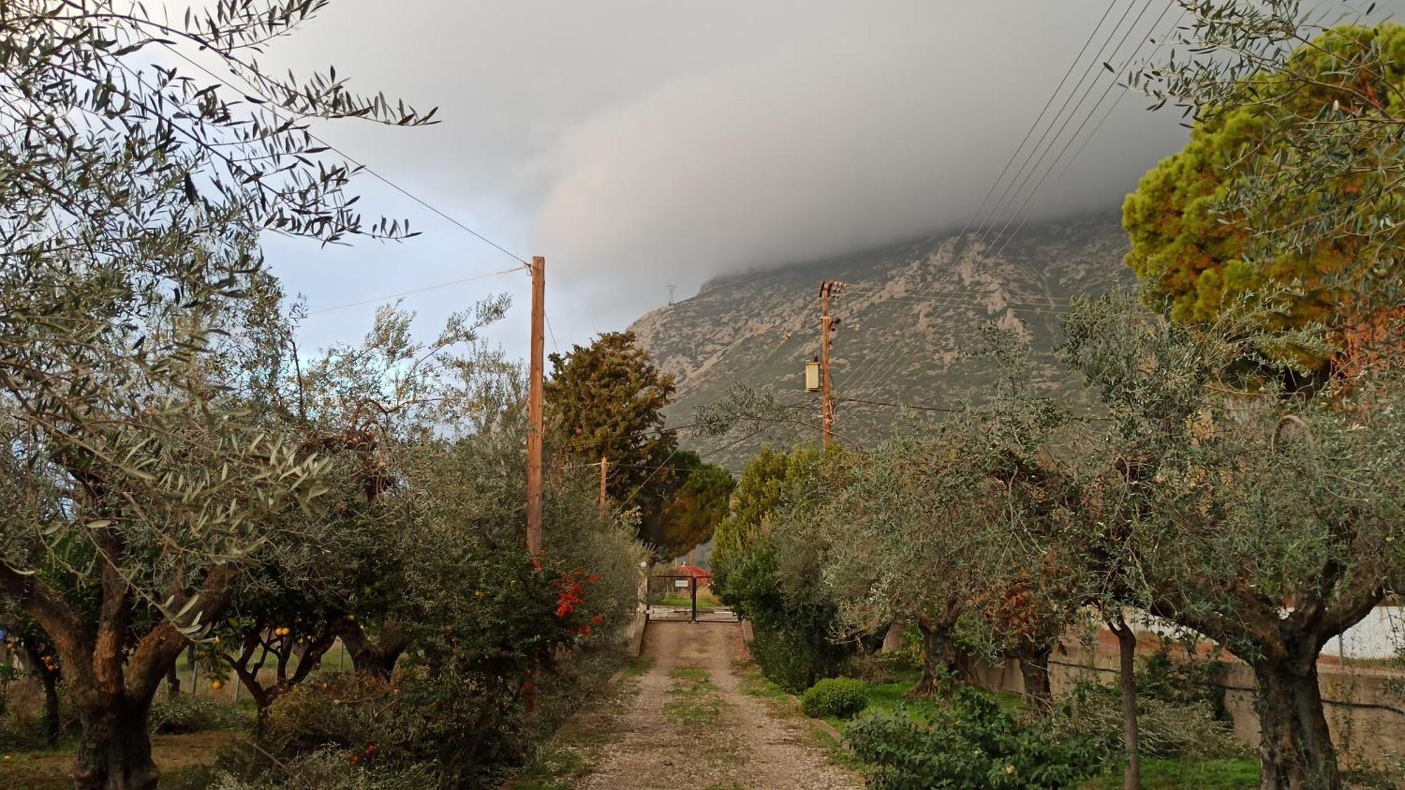 Nafpaktos Cottage By The Sea For Travelers And Dreamers! エクステリア 写真
