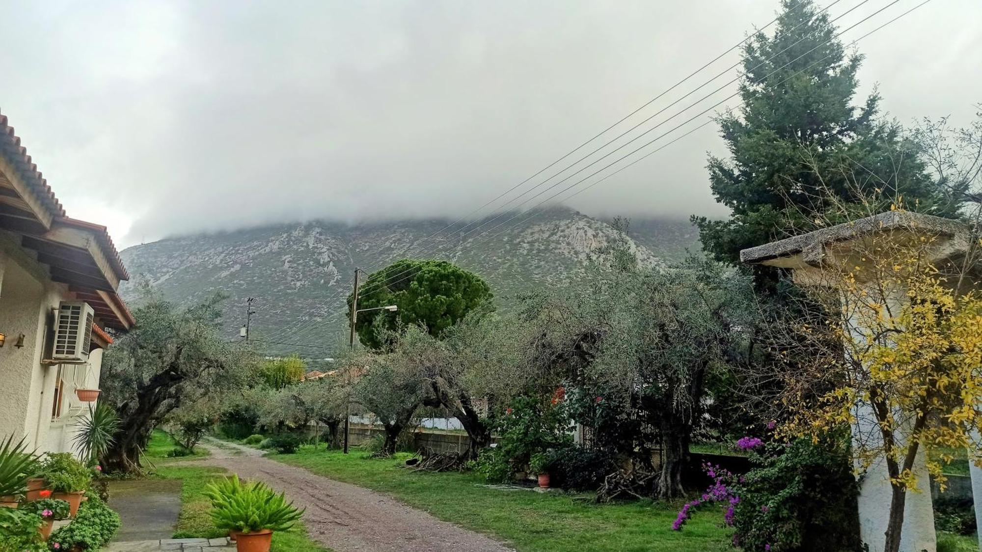 Nafpaktos Cottage By The Sea For Travelers And Dreamers! エクステリア 写真