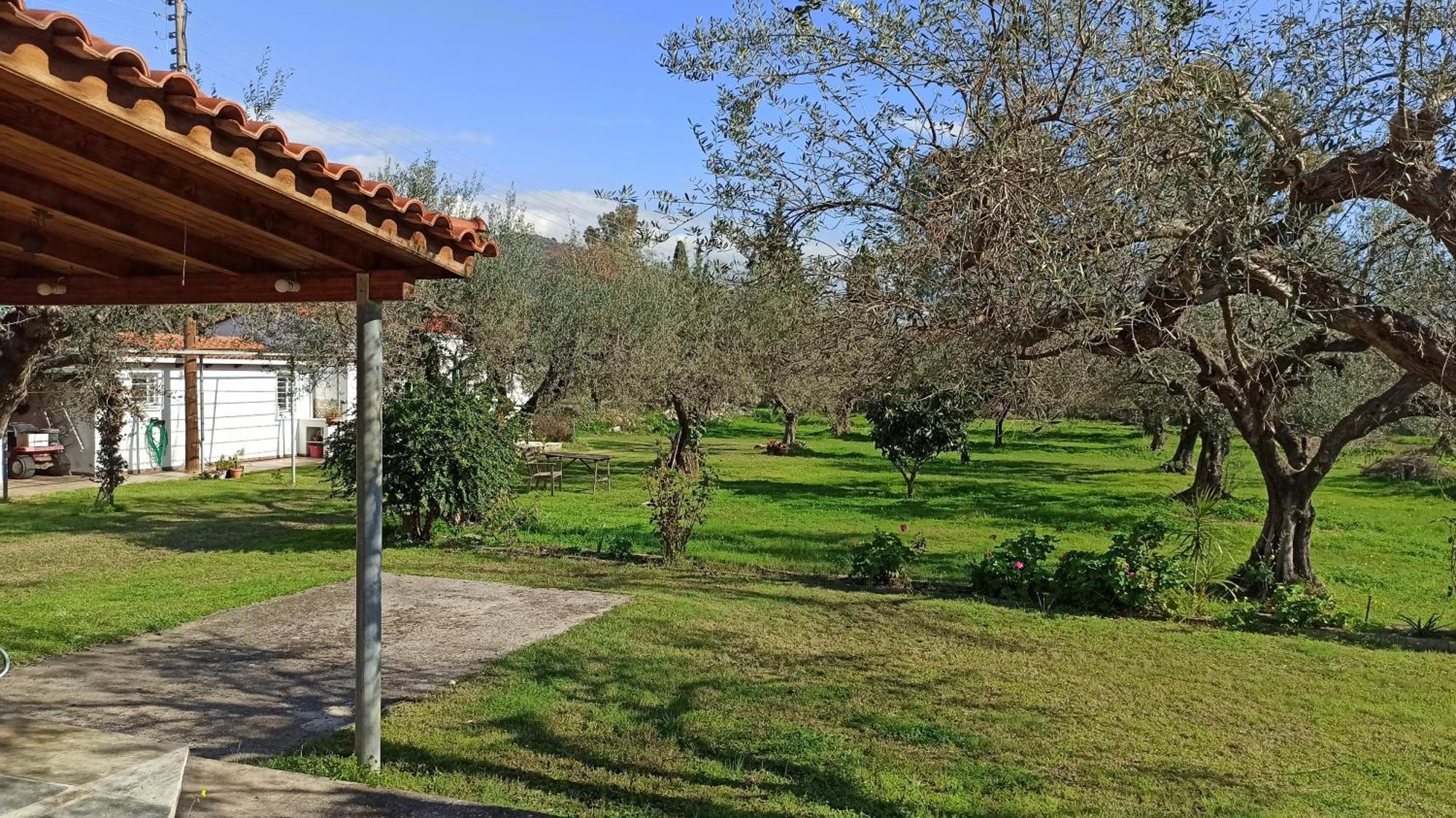 Nafpaktos Cottage By The Sea For Travelers And Dreamers! エクステリア 写真