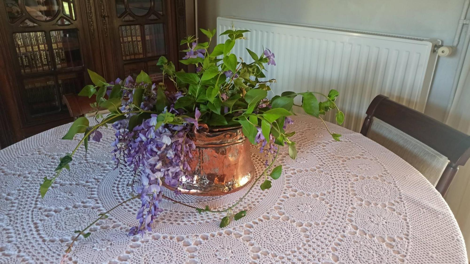Nafpaktos Cottage By The Sea For Travelers And Dreamers! エクステリア 写真